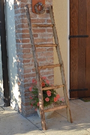 le scalette di Carlo