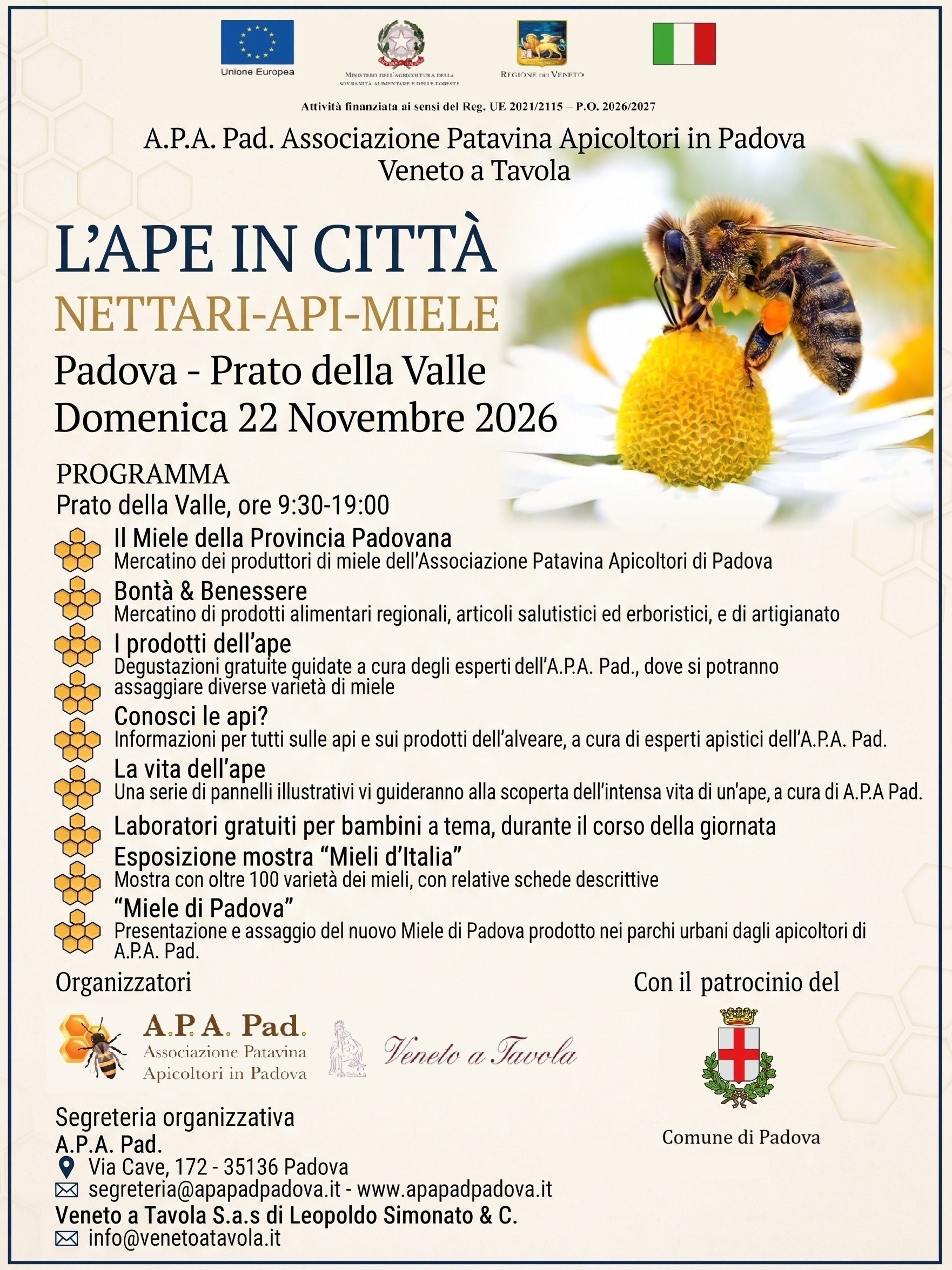 L'Ape In Città