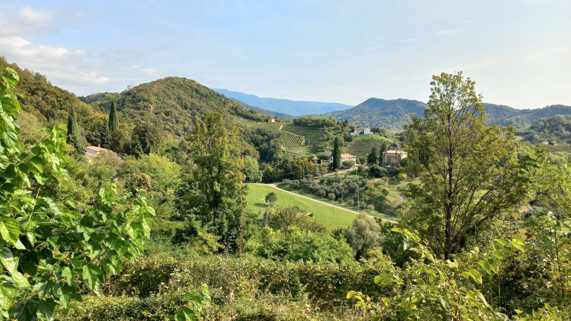 Passeggiata tra i caldi colori autunnali delle colline UNESCO