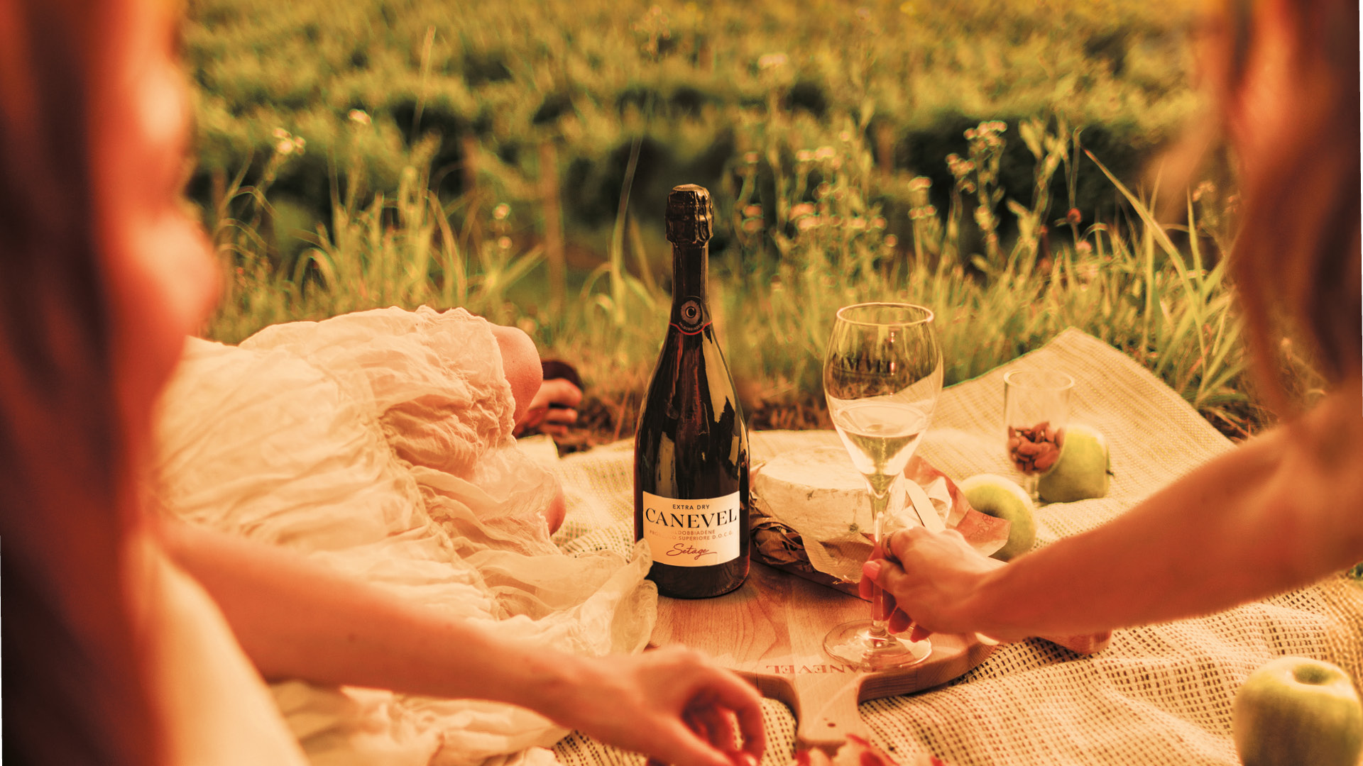Picnic in vigneto