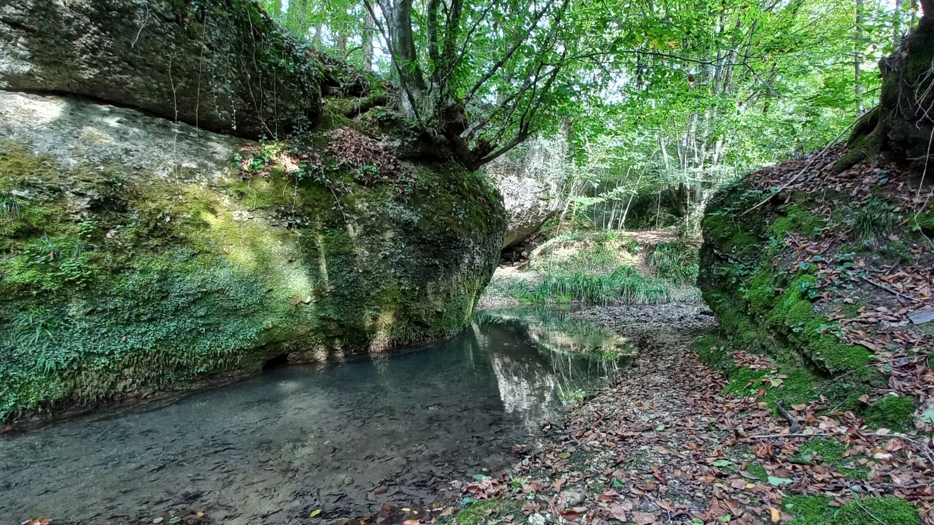 San Pietro di Feletto tra torrenti, boschi e felci