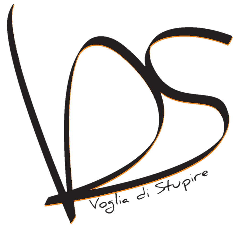 Logo VDS